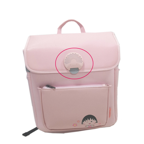 bag